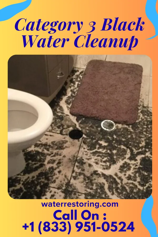 Category 3 Black Water Cleanup in Mount Hermon, VA