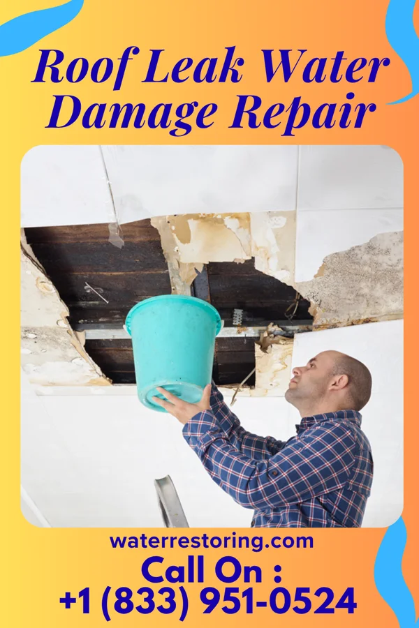 Roof Leak Water Damage Repair in Mount Hermon, VA