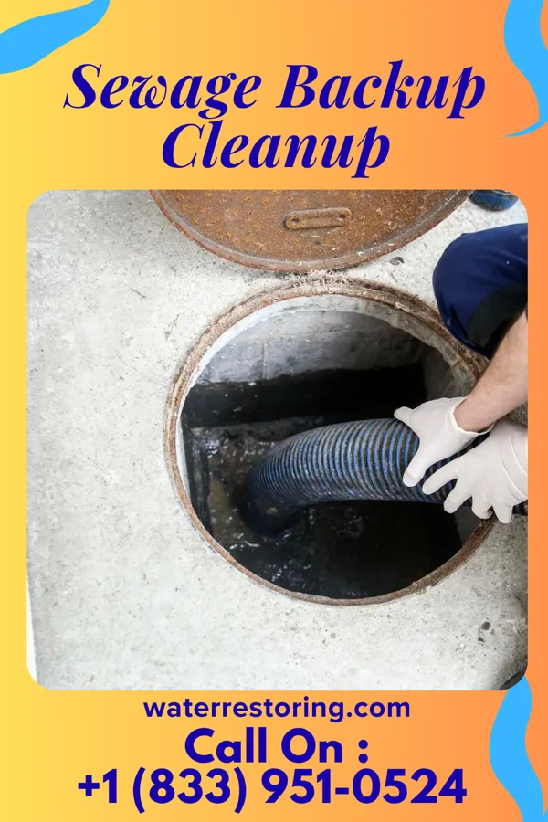 Sewage Backup Cleanup in Mount Hermon, VA