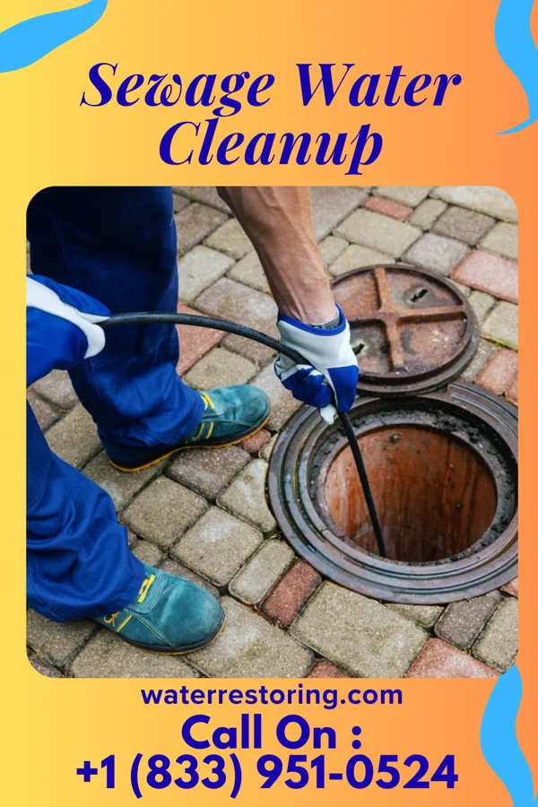 Sewage Water Cleanup in Mount Hermon, VA